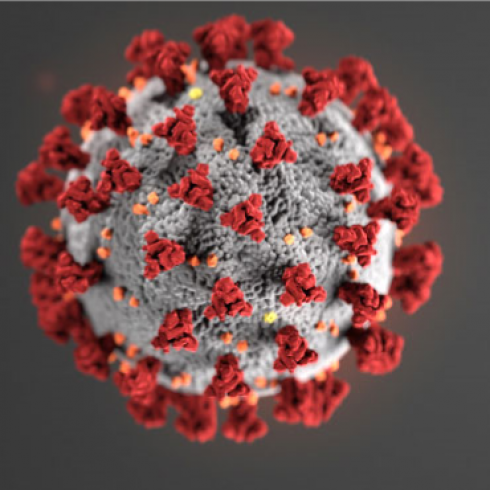 virus image