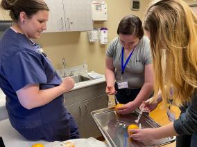 students injecting oranges at career day